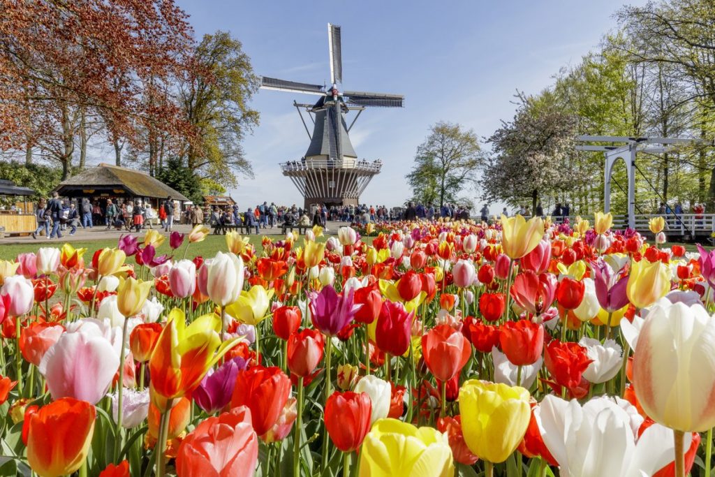 Keukenhof Netherlands