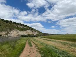 Valley of Elah - Destina Holidays