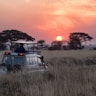 Wildlife and Safaris